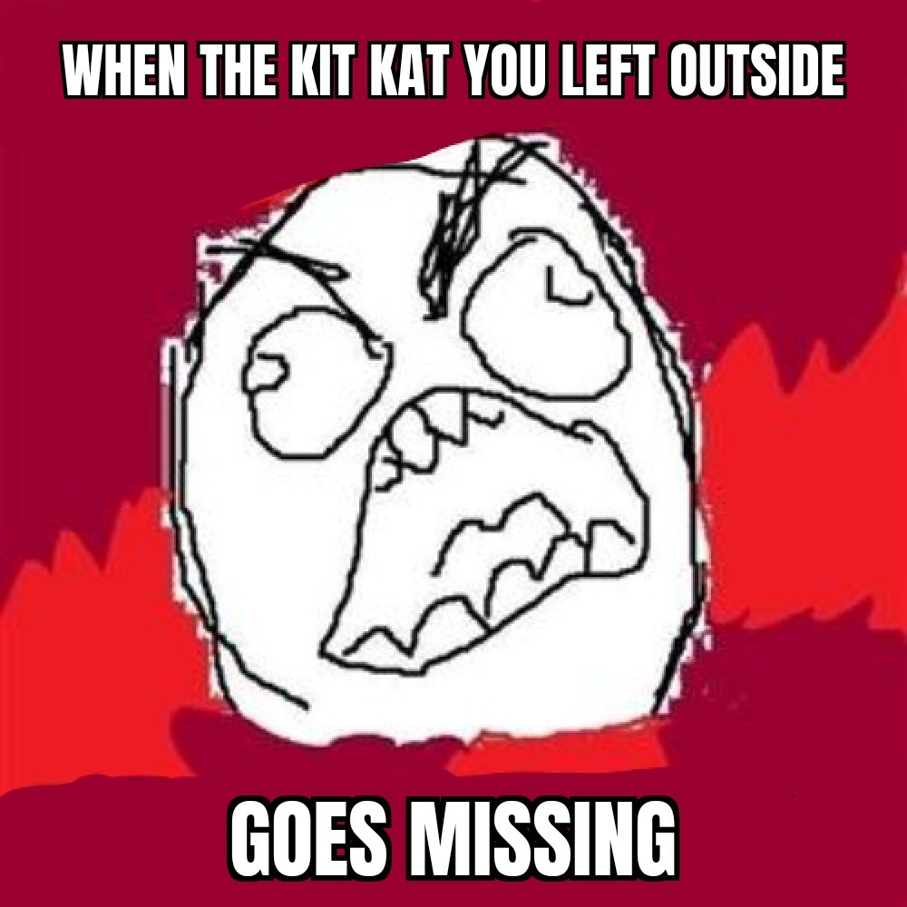 Jakeb Rothschild tweet media