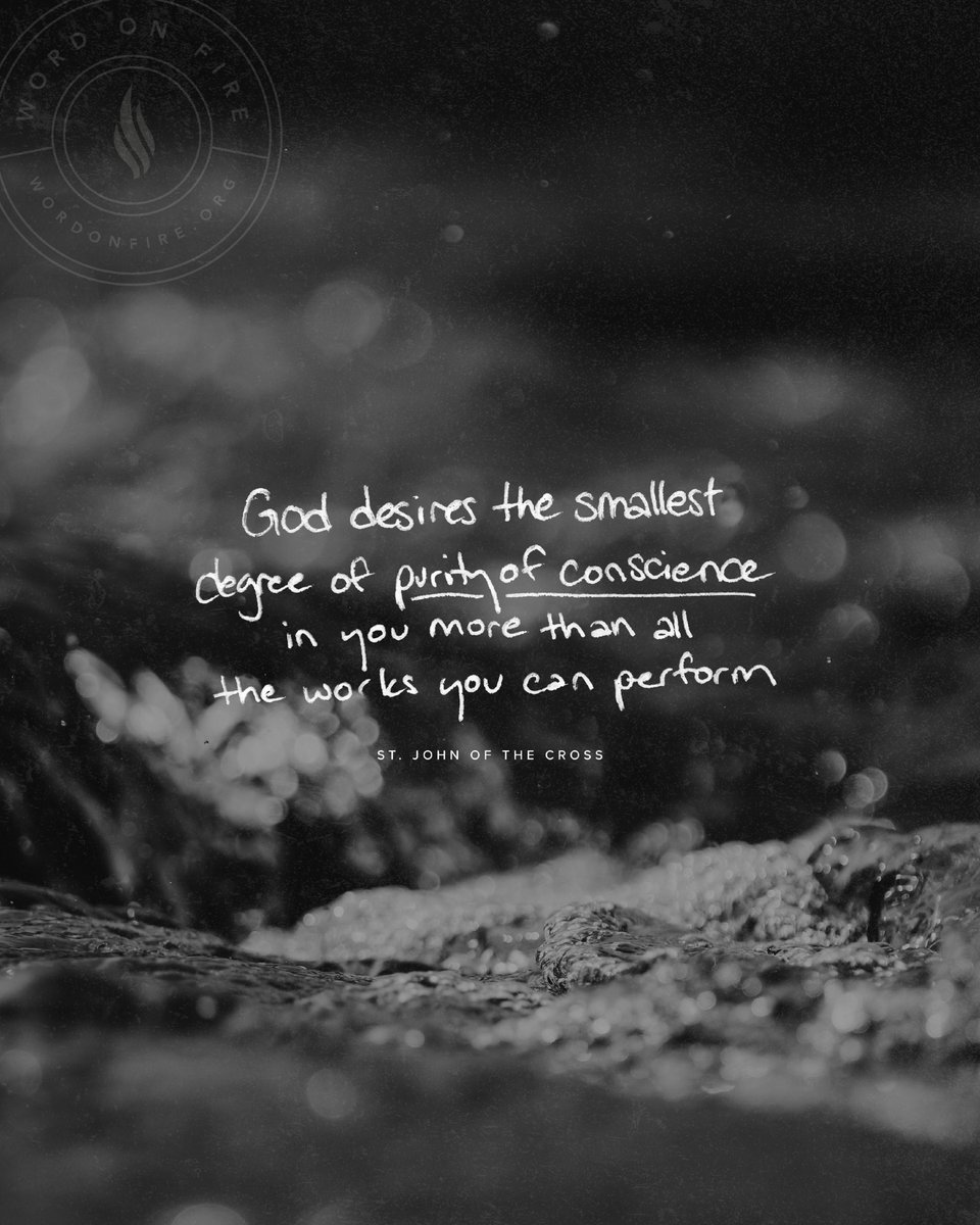 Bishop Robert Barron tweet media