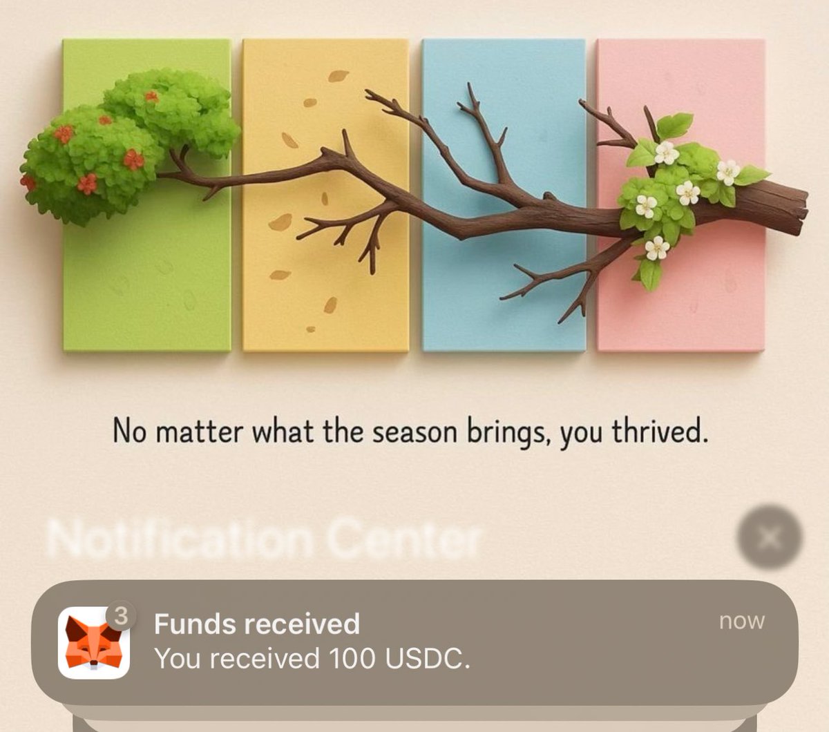 Rae 🌹 (❖,❖) tweet media