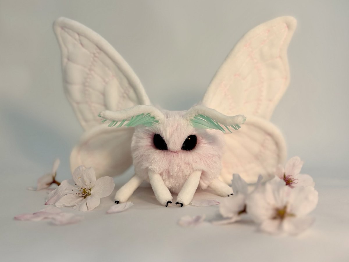 しろいの tweet media