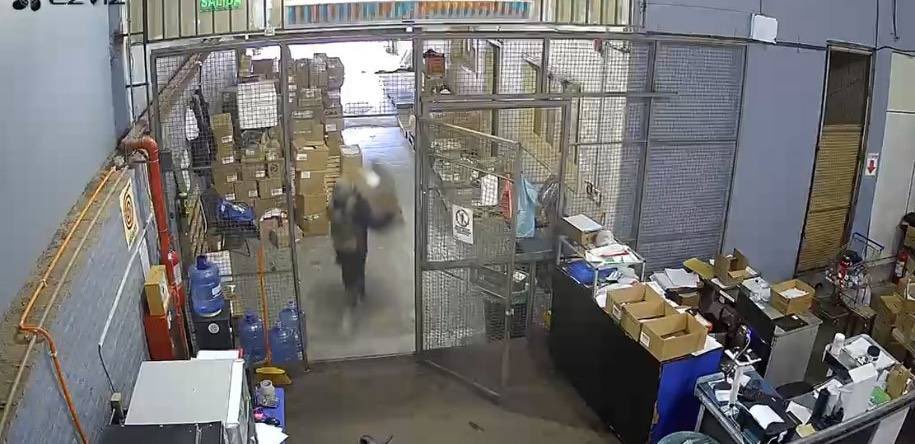 TN Press Digital tweet media