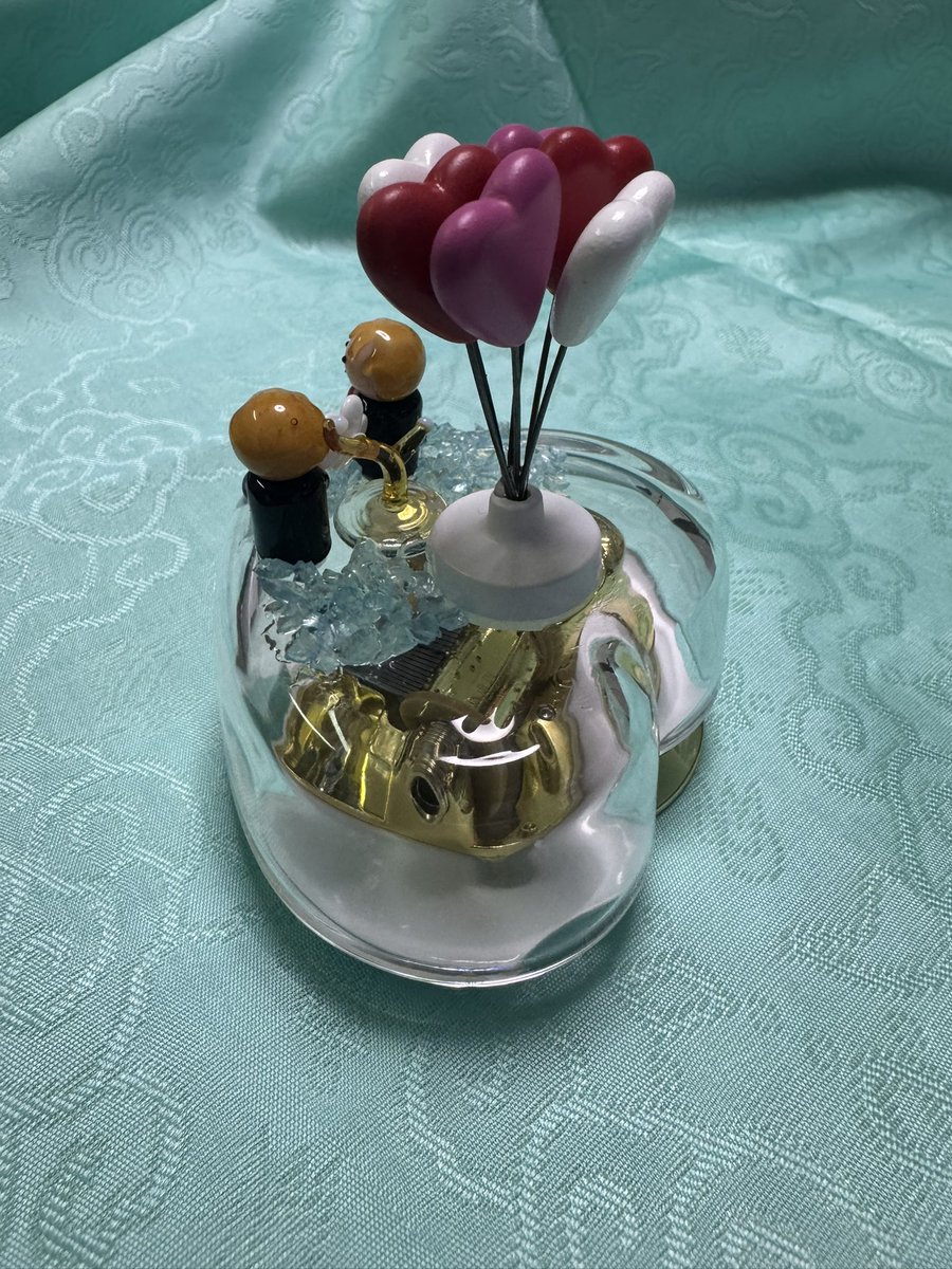 メイリ美麗Meily🇯🇵 tweet media