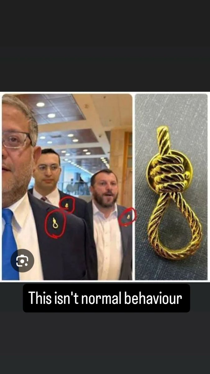 Windrush Gyal🇯🇲🇬🇧(AishaM) tweet media