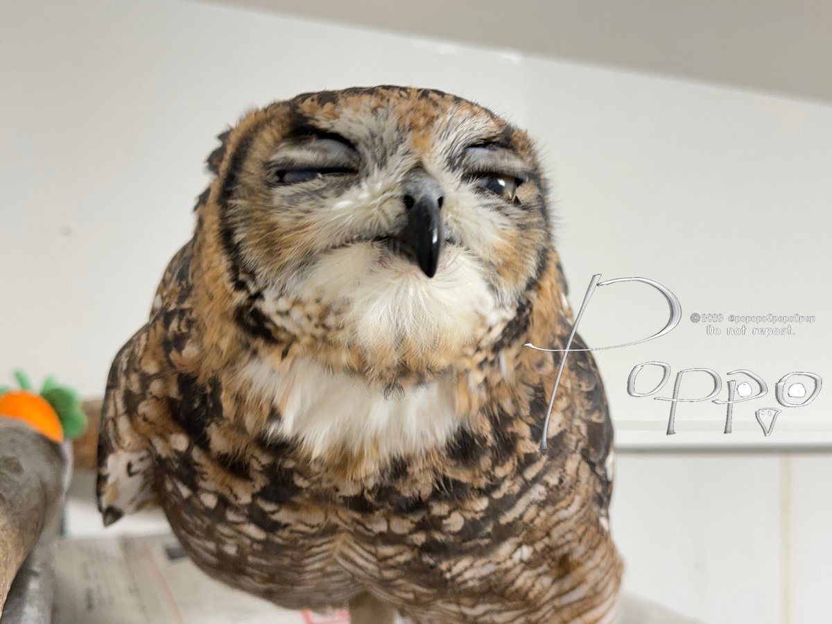 おねず、んまーーーーーーーーーい♡♡♡