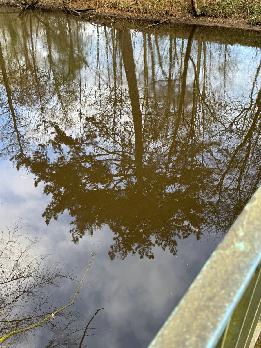 funnyson tweet media