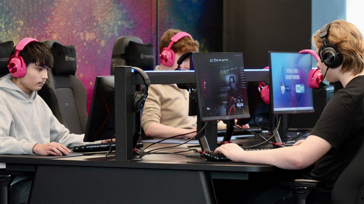 WYLDE⚡️ tweet media