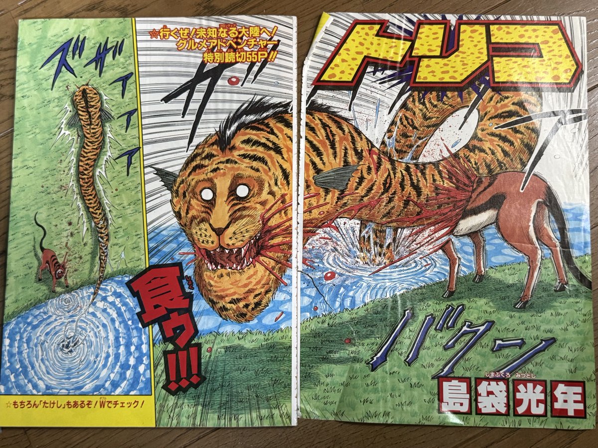 トリコ」の一番最初の読切。たけしと並行して描かれたやつ。 許斐剛