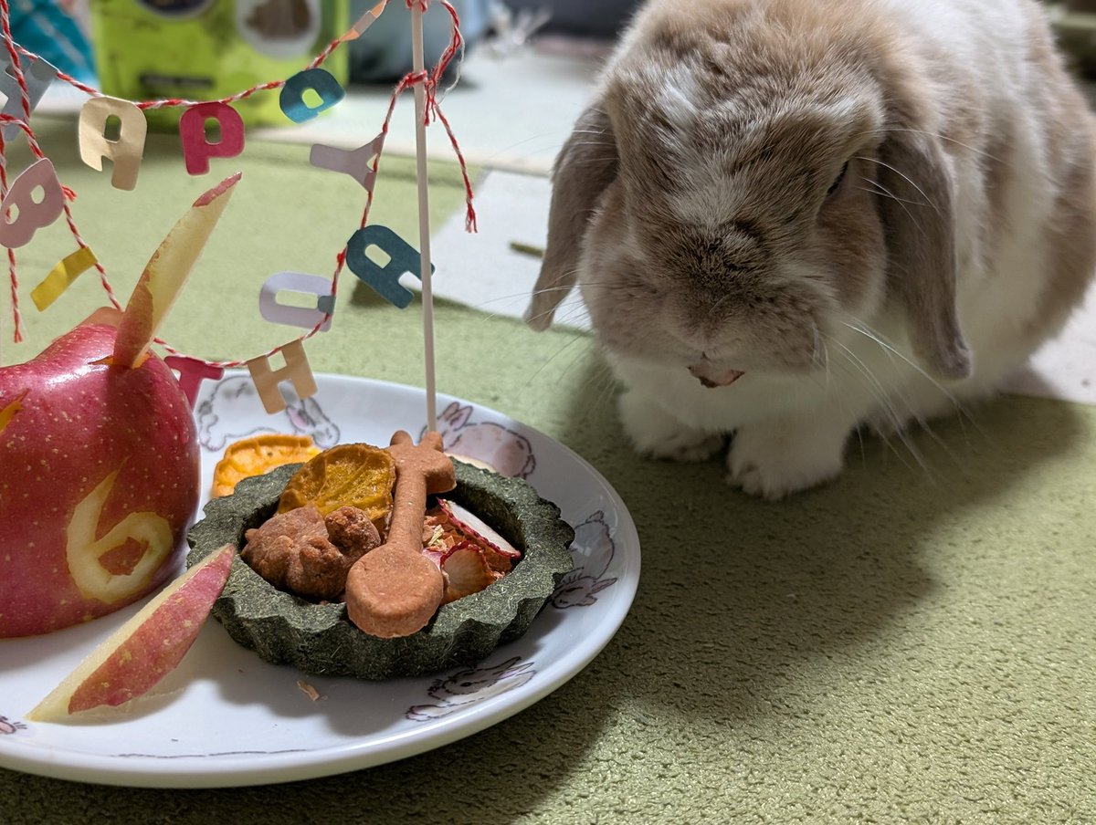 むーみん@Timotessimo 調うさぎ縁日4/25-26 tweet media