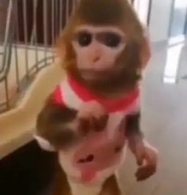 ᴠɪʙʟᴢᴇɪʀᴀ ❤️‍🔥 tweet media