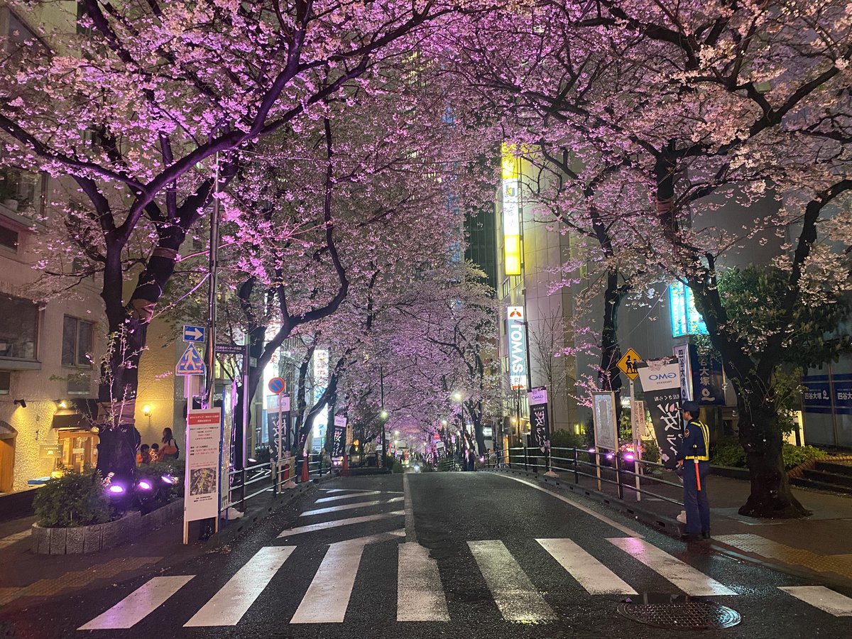 Shun. K（ぼぶ） tweet media