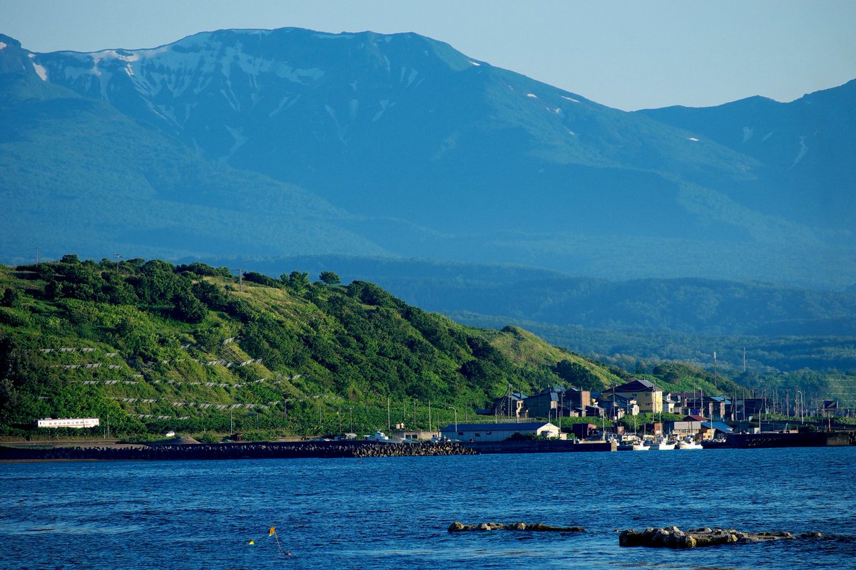 いたや tweet media