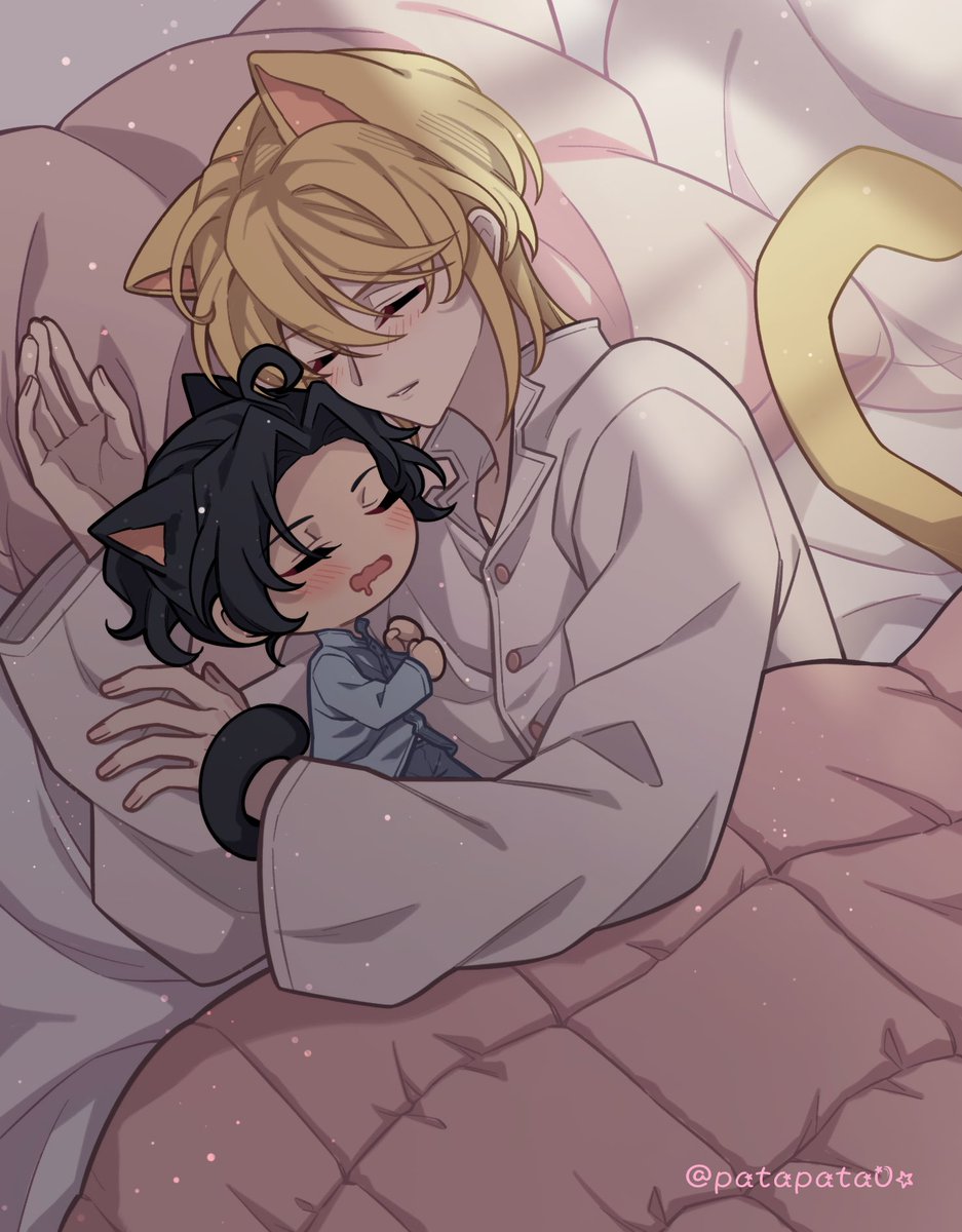 patapata0o tweet media