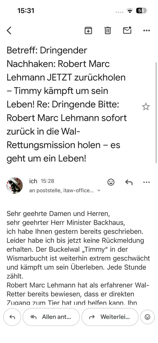 Cookie🐈‍⬛Stanley🐈Fiene🐯♥️ tweet media