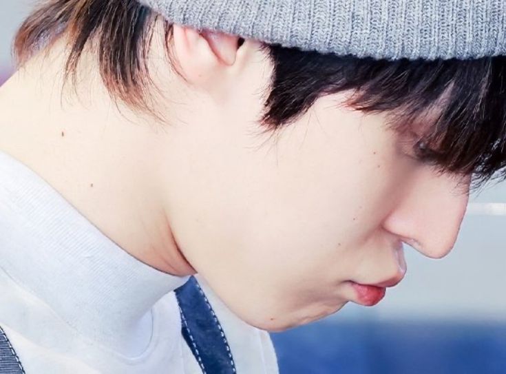 hiro 🐾 tweet media