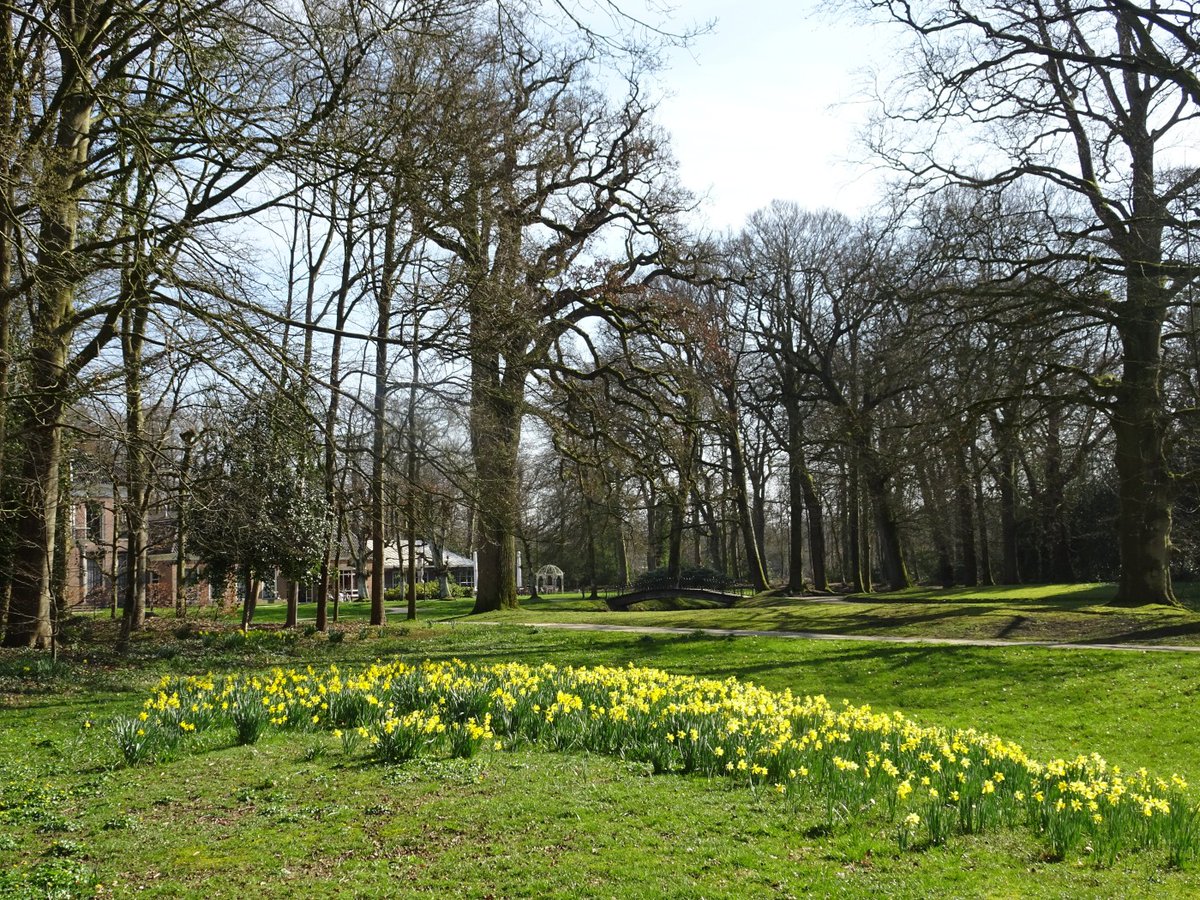 Wandelnet tweet media