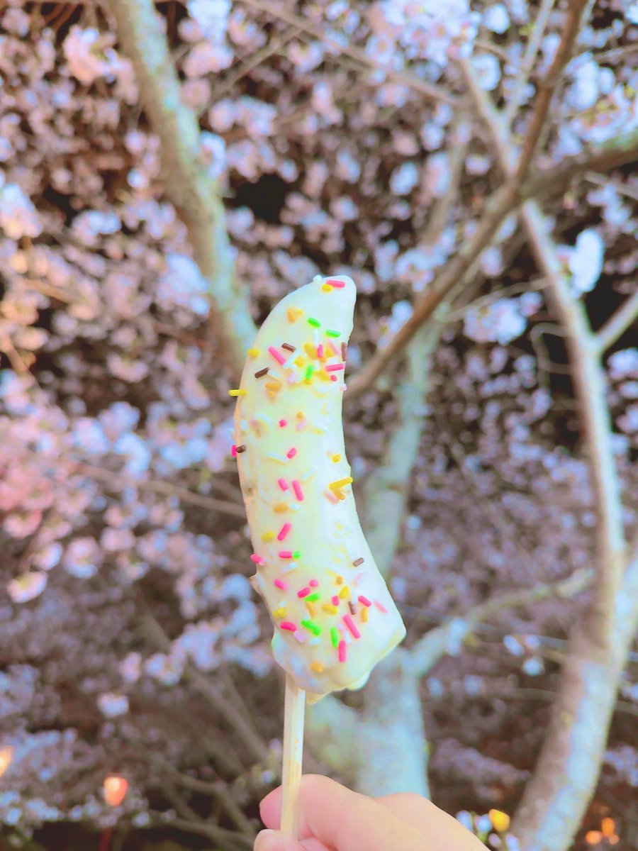 うた。 tweet media