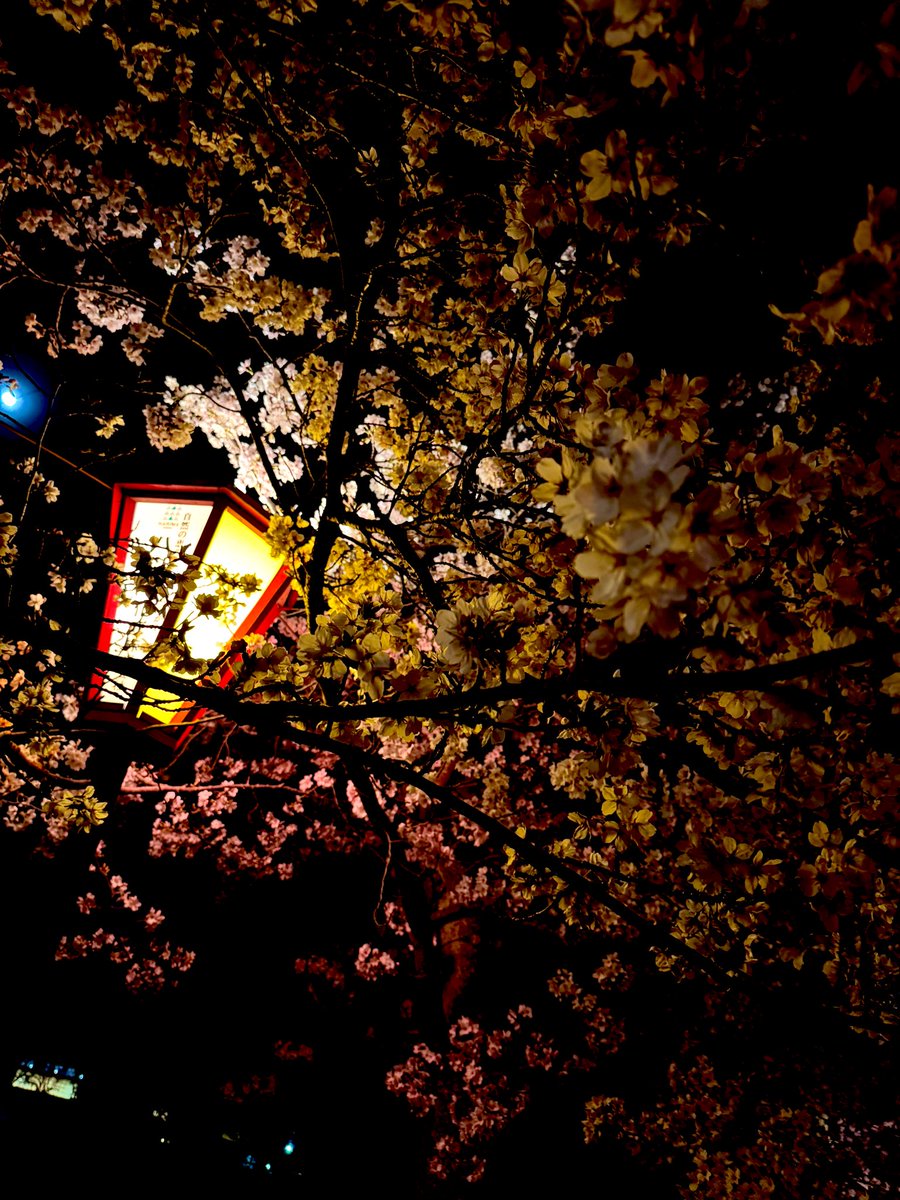 うた。 tweet media