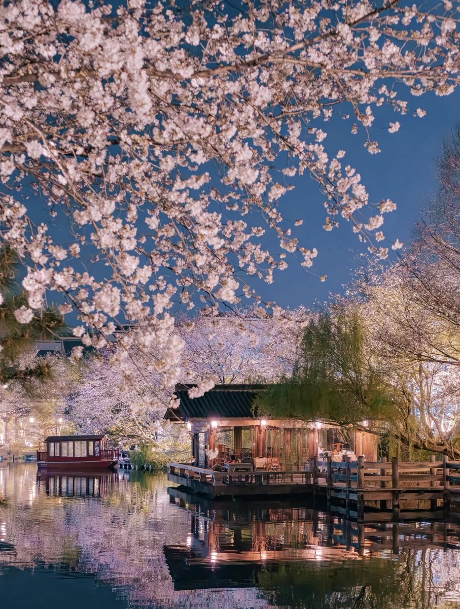 Francis(互fo💯💯) tweet media