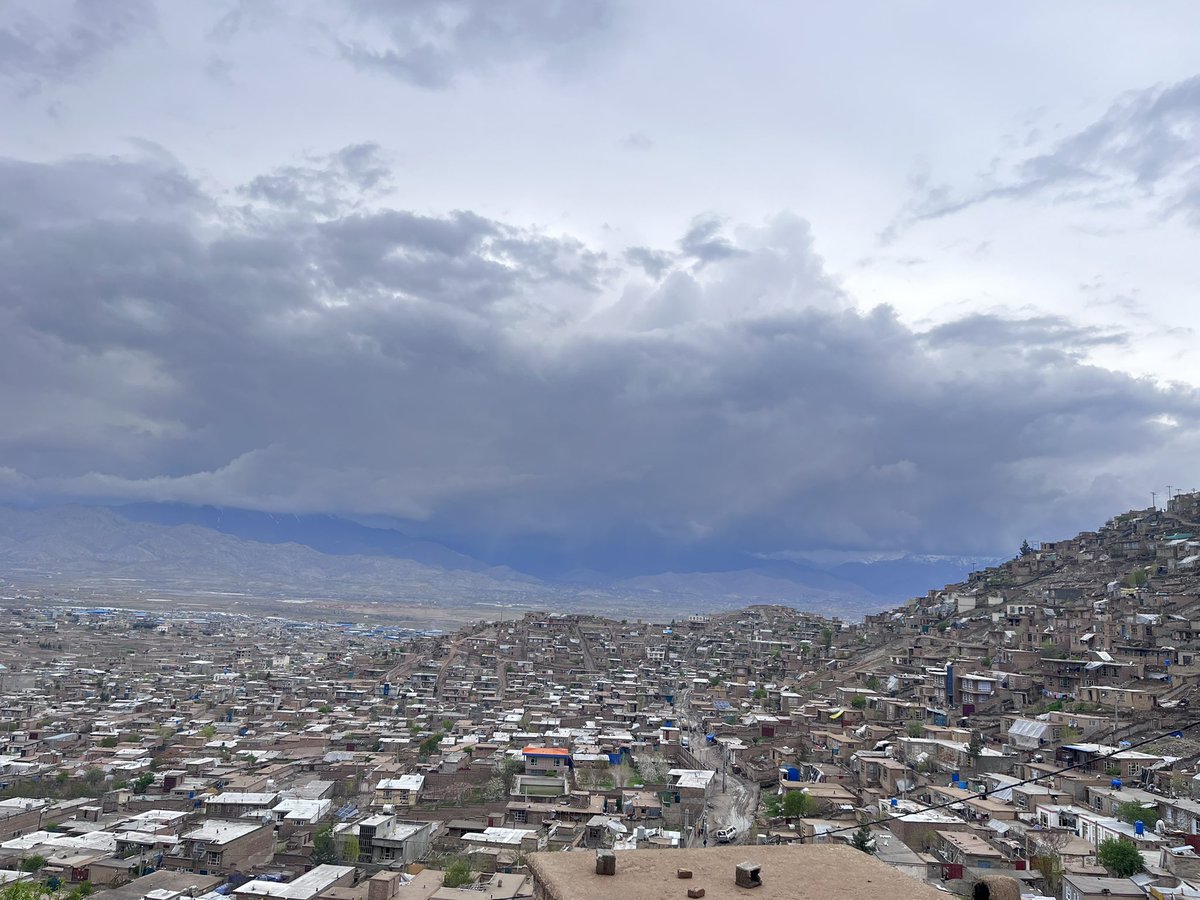 بازمانده 🏜 tweet media