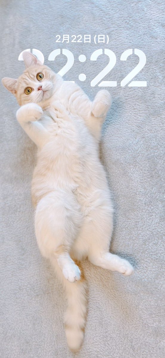 伊吹𓐃 tweet media