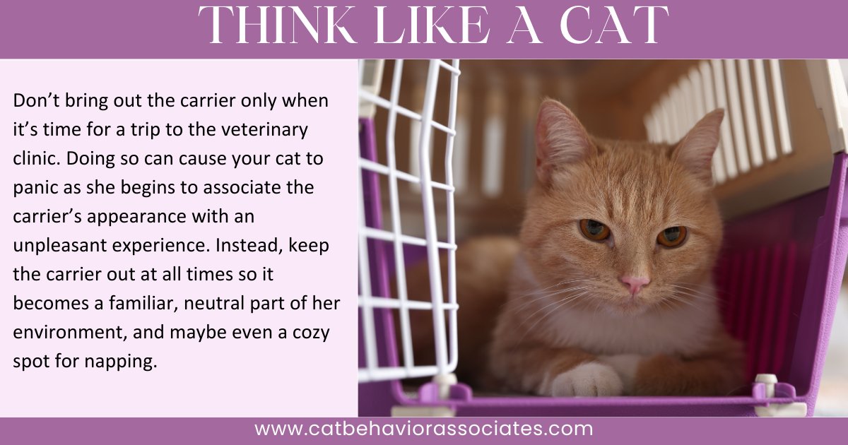 Pam Johnson-Bennett tweet media