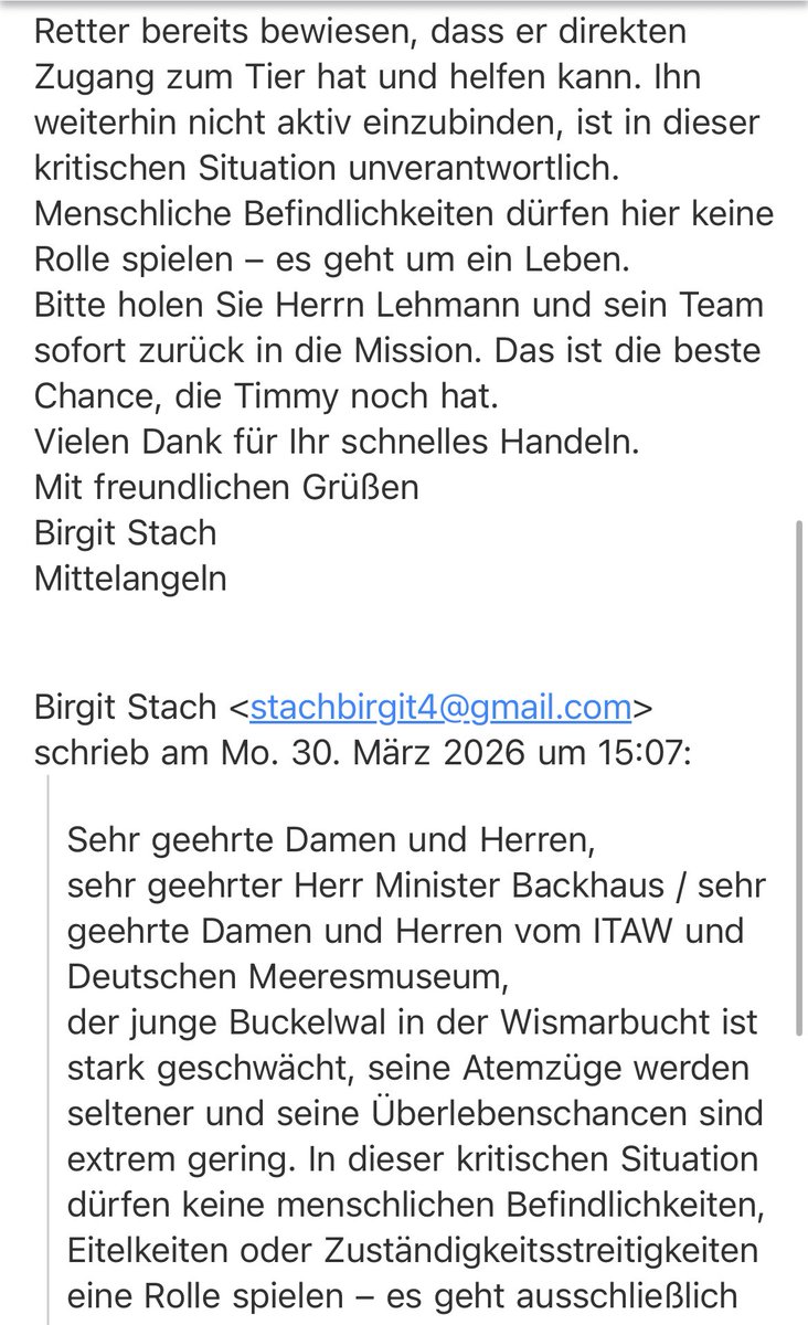 Cookie🐈‍⬛Stanley🐈Fiene🐯♥️ tweet media