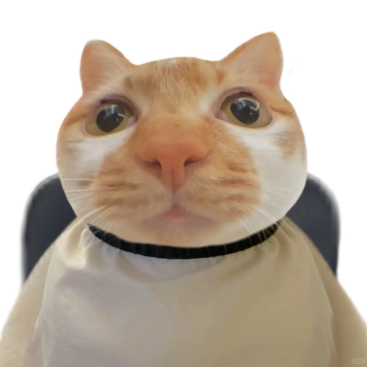 约瑟夫.罗德姆的批话TV tweet media