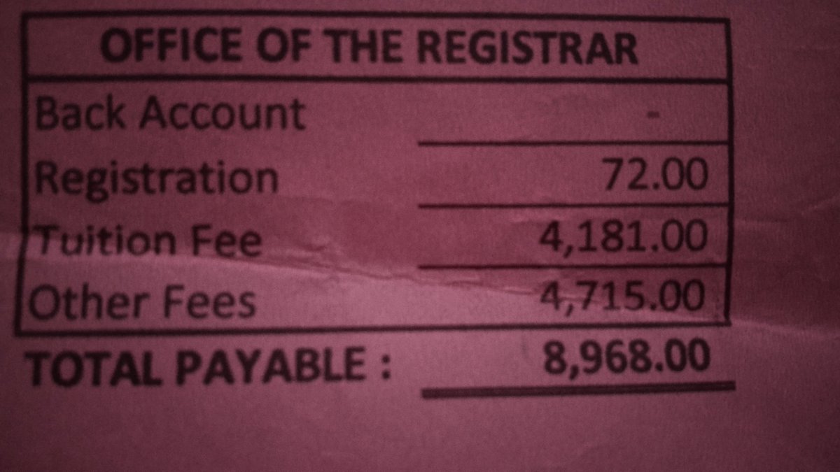 aiah୨ৎ || big wins 🍀✨ tweet media