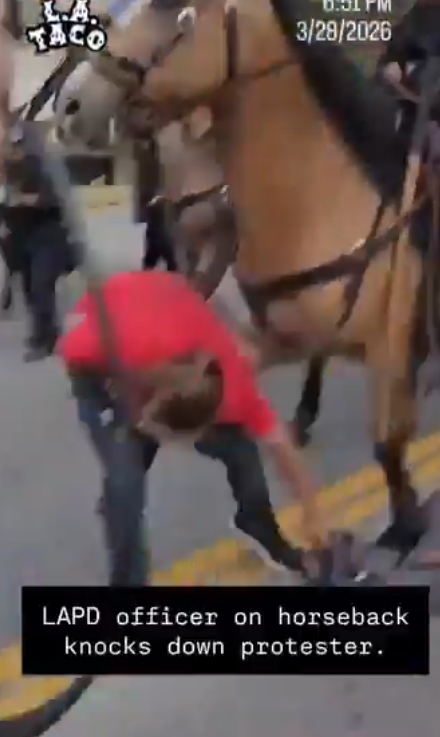 Mike Jones 🦘🤿🐊😱 tweet media