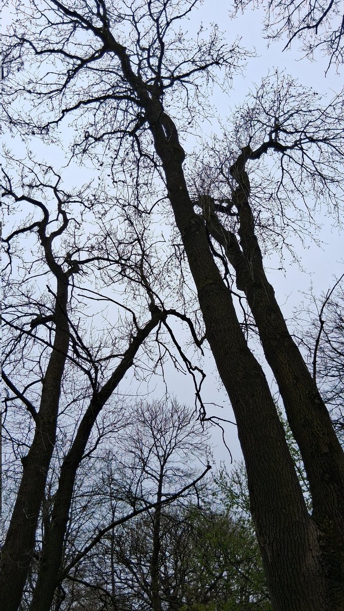 🌱 Debs - Raindrops on Roses tweet media