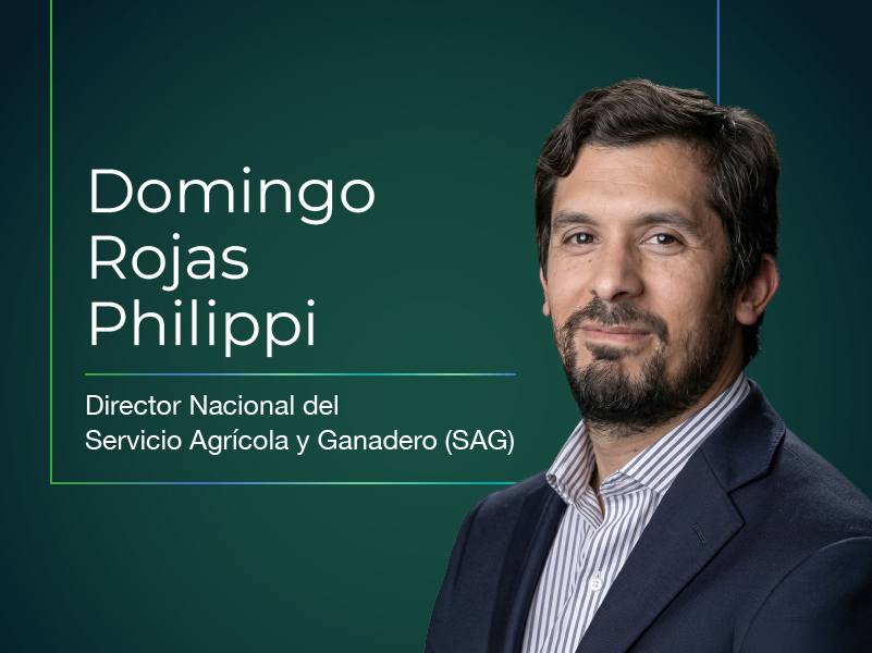Afipa A.G. tweet media