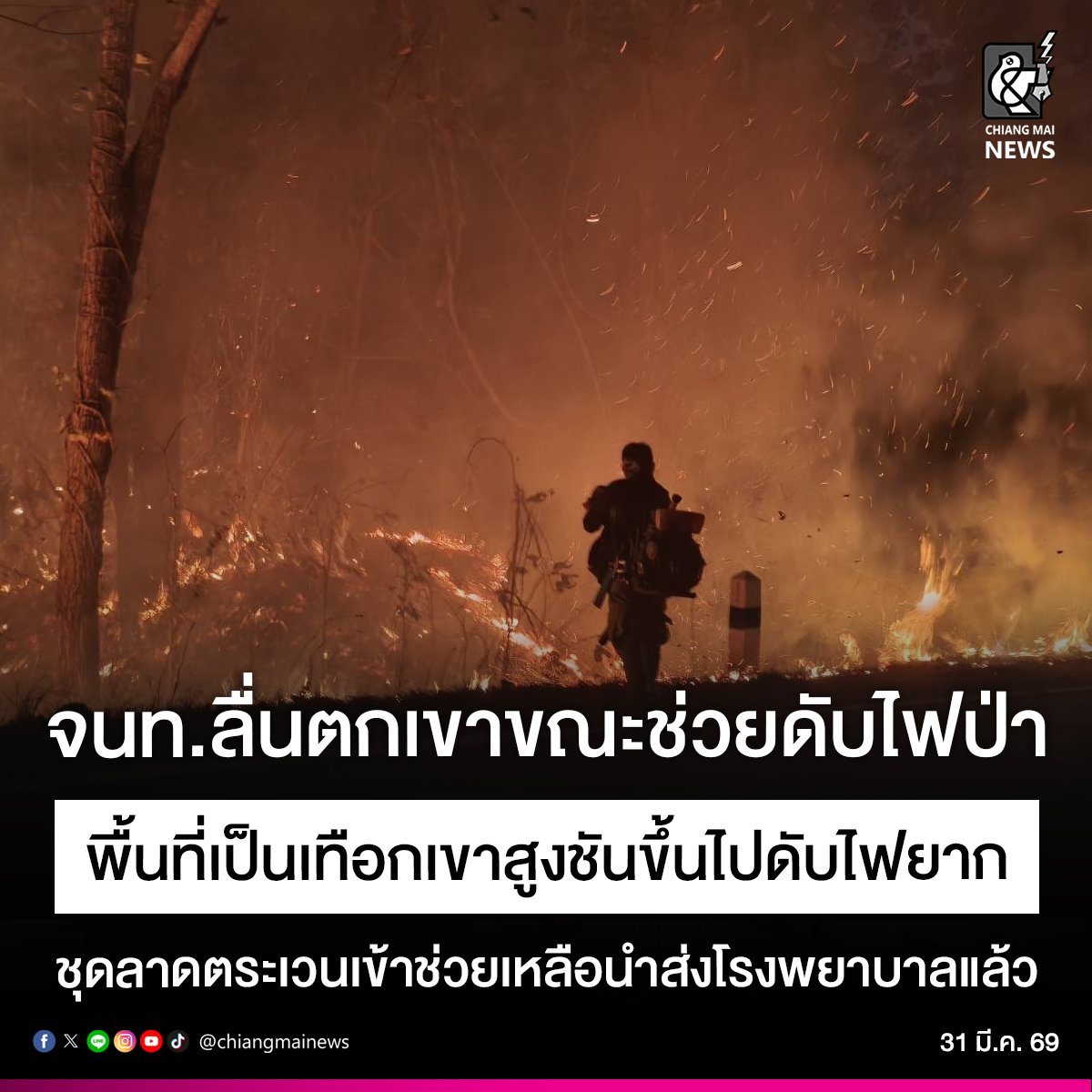 Chiang Mai News tweet media