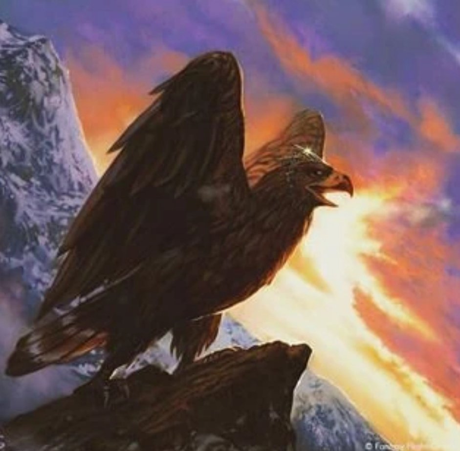 🧙🌍📚TolkienArabFans tweet media