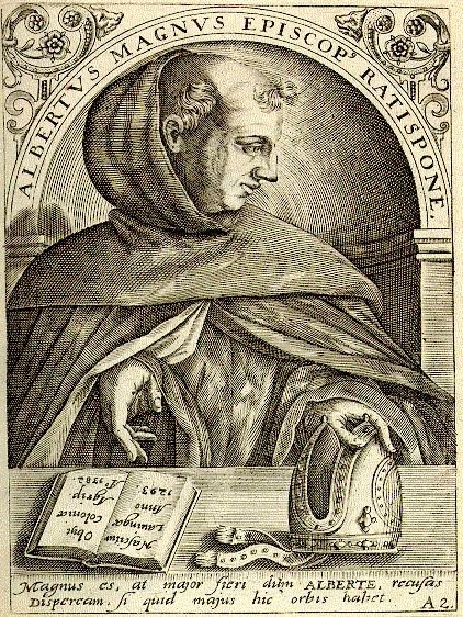 lara lobao tweet media