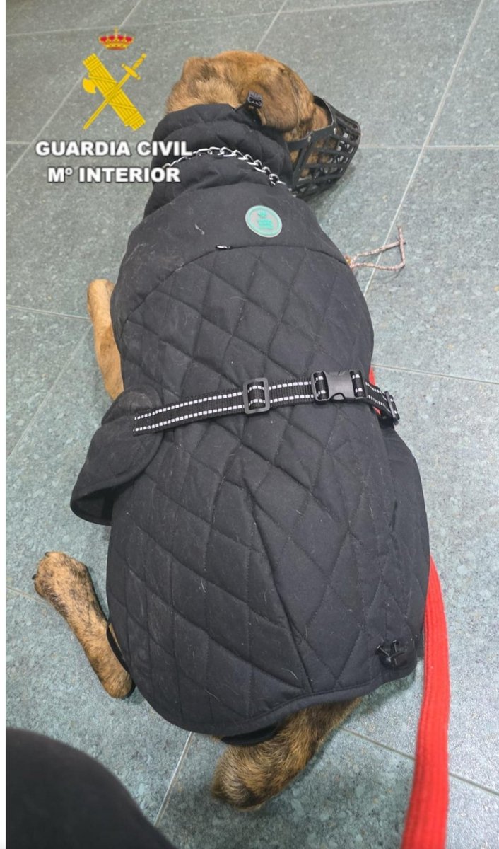 LᎾℬᎯ tweet media