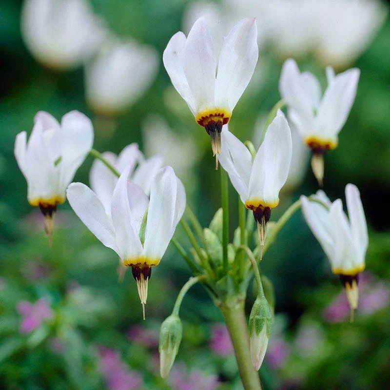 Give A Shit About Nature tweet media