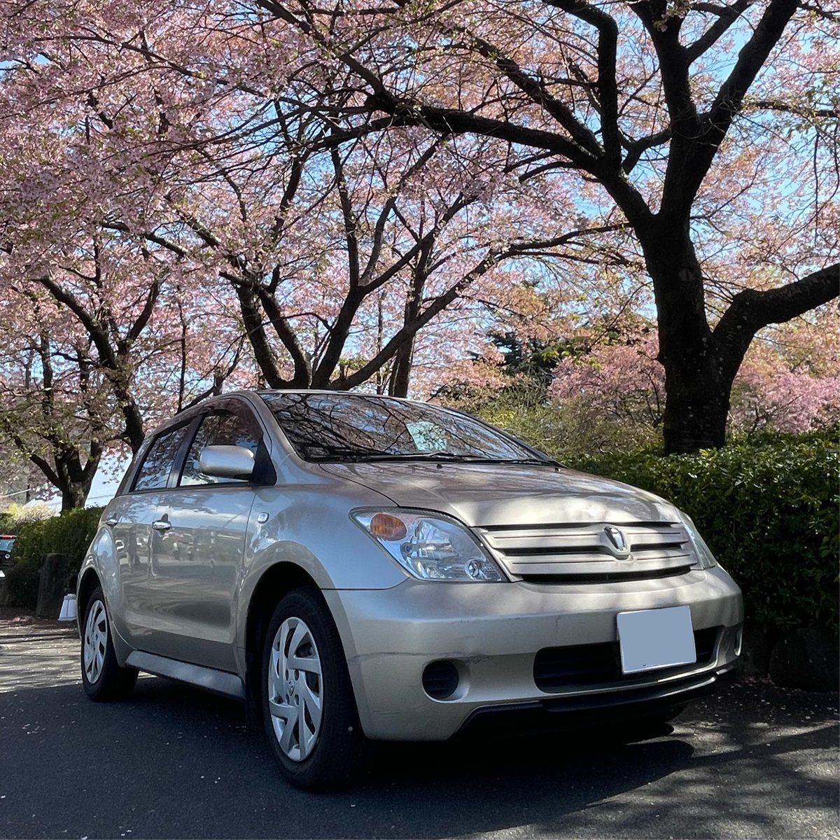 しろ@AE86 tweet media