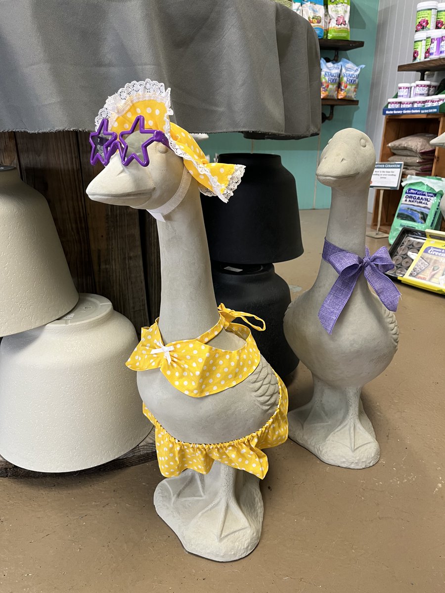 Master Nursery® Garden Centers tweet media