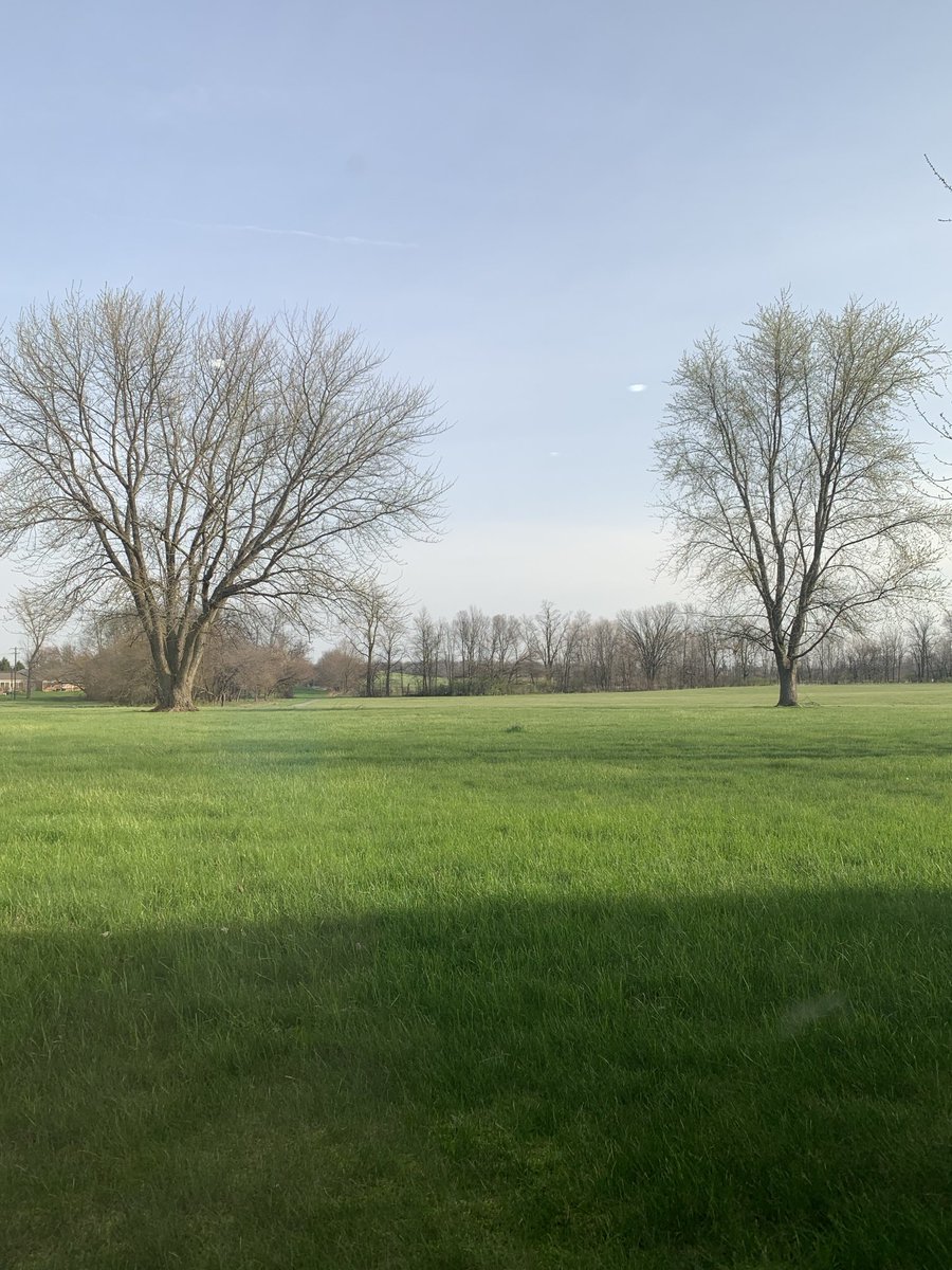 Kathleen Sharrit tweet media