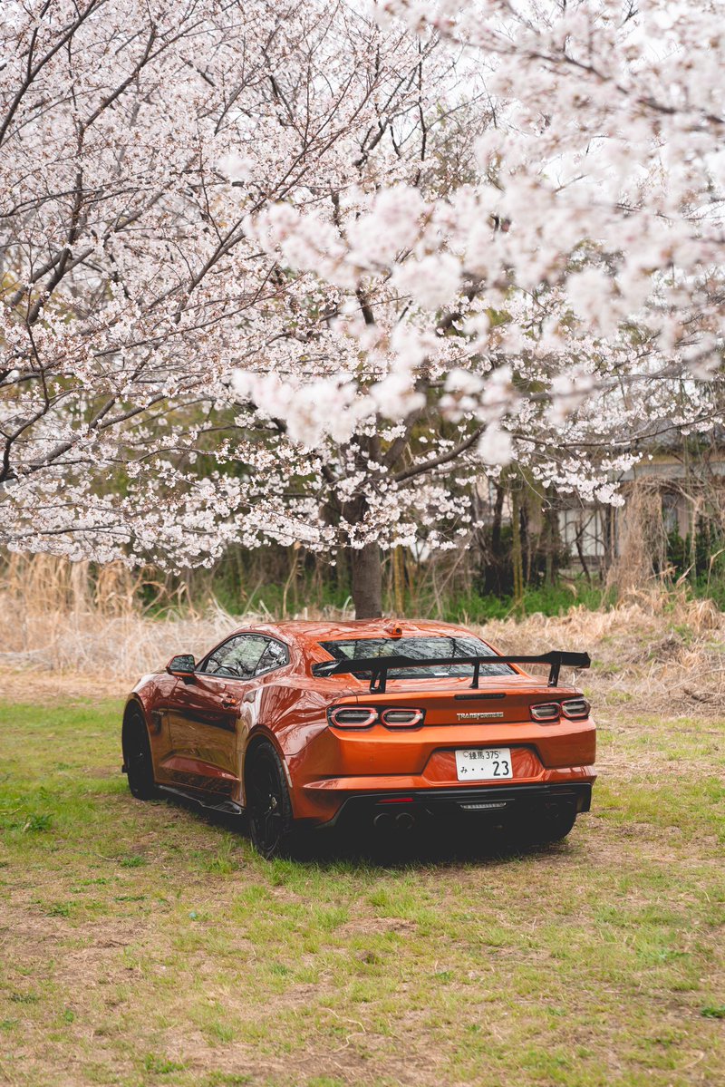 UBU ／ ウブ tweet media