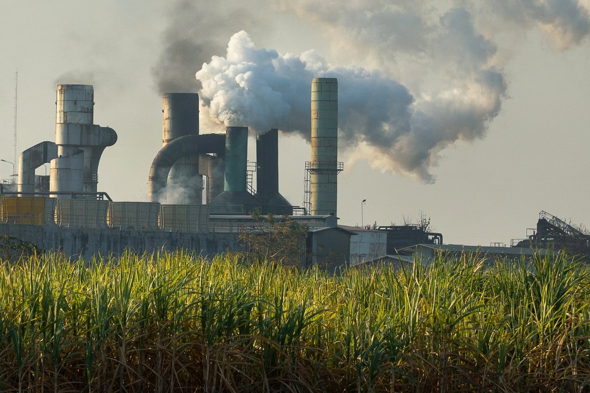 Sugaronline tweet media