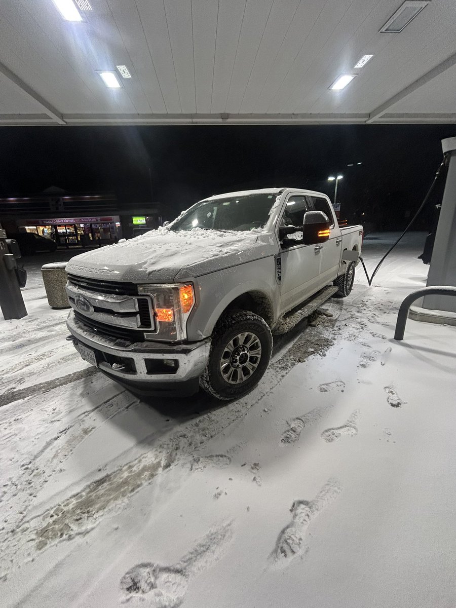 Nuclear Mushroom tweet media