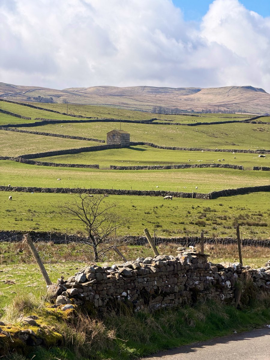 Postcard from Britain tweet media