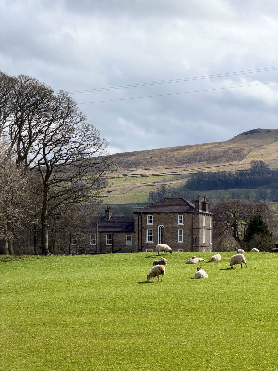 Postcard from Britain tweet media