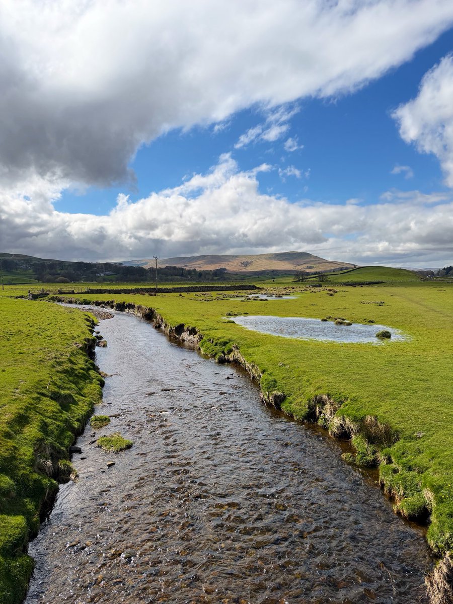 Postcard from Britain tweet media