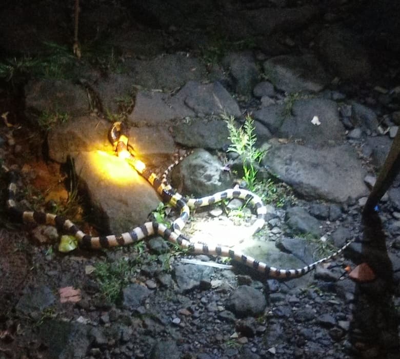 sarah ayu 🦋 tweet media