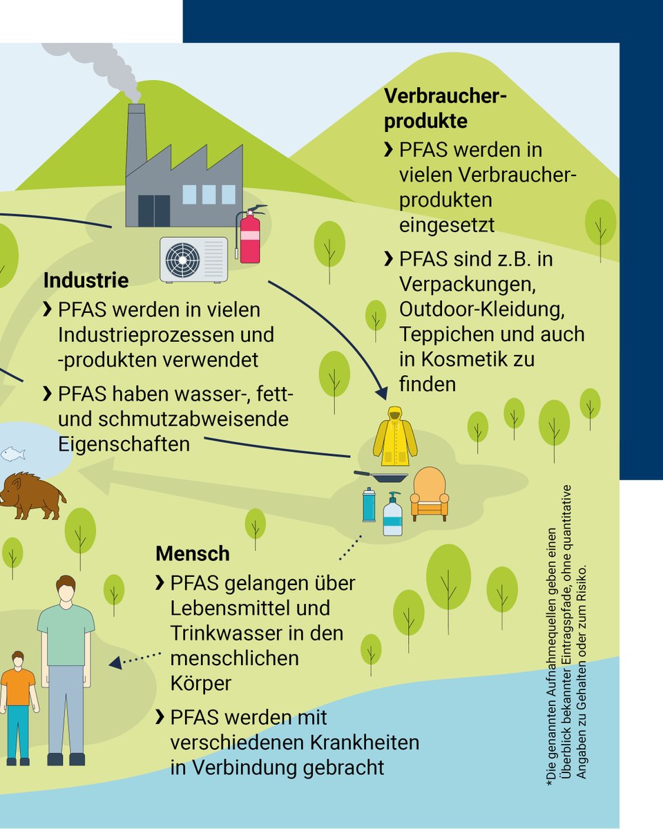 BfR | Bundesinstitut für Risikobewertung tweet media