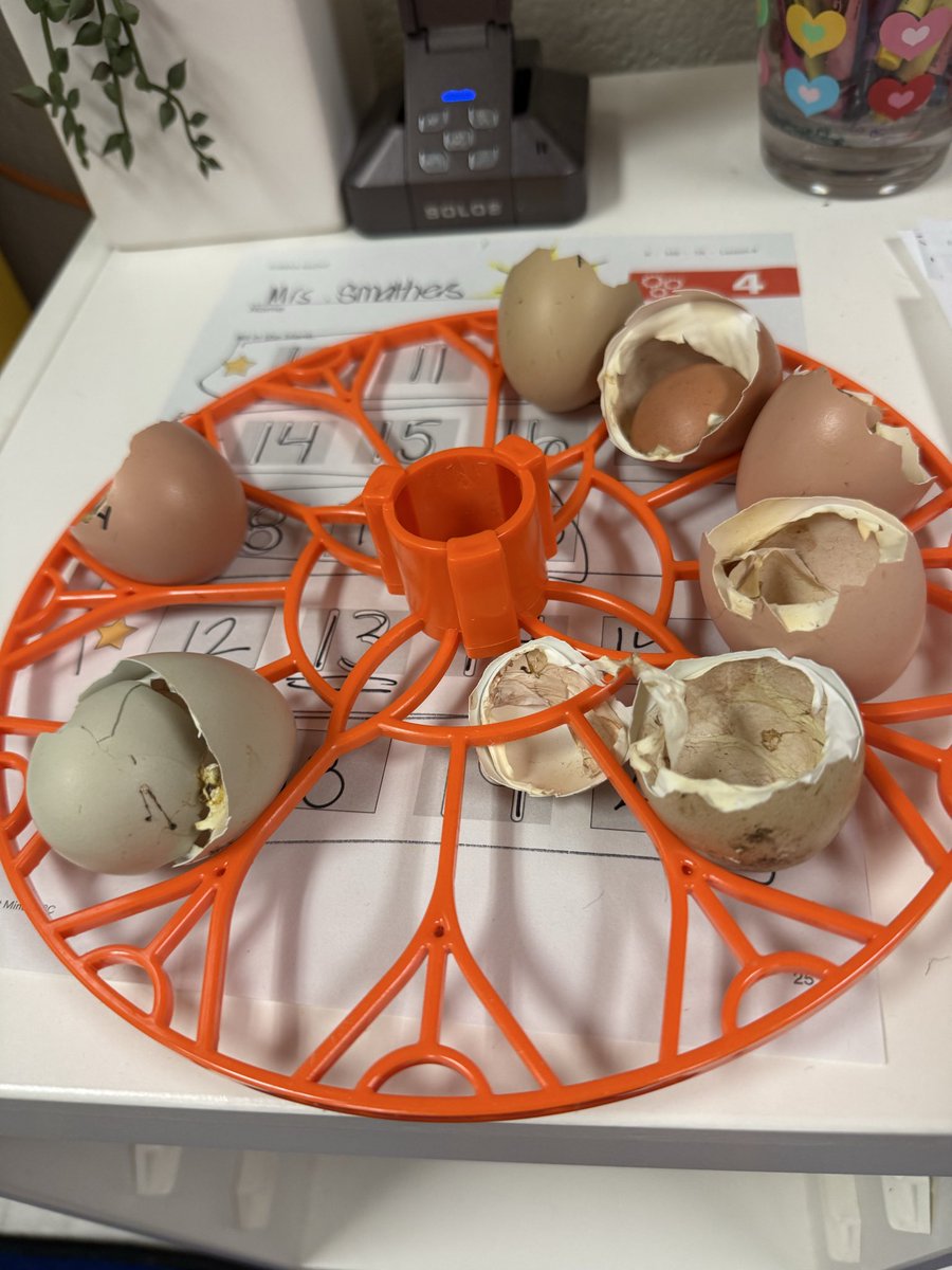 Mrs. Paula Smathers tweet media