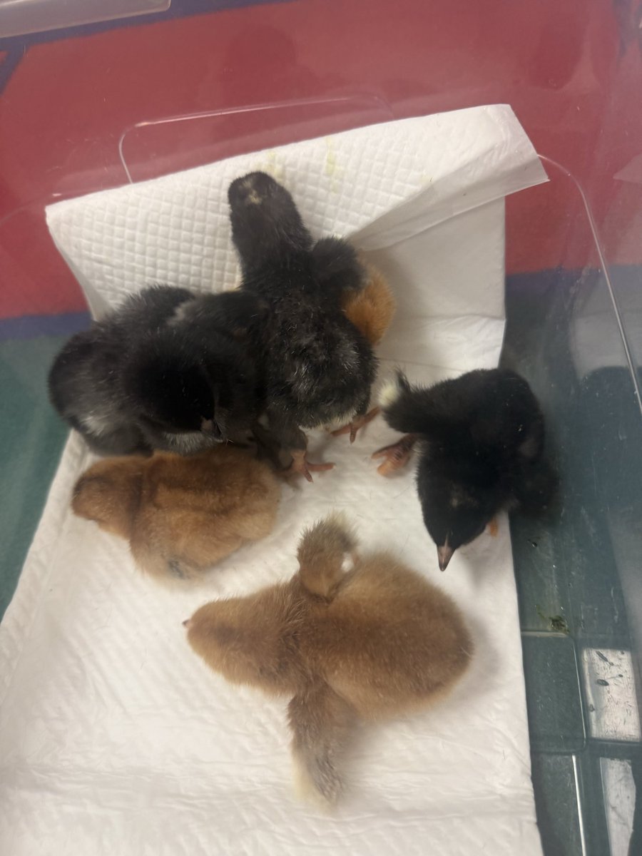 Mrs. Paula Smathers tweet media