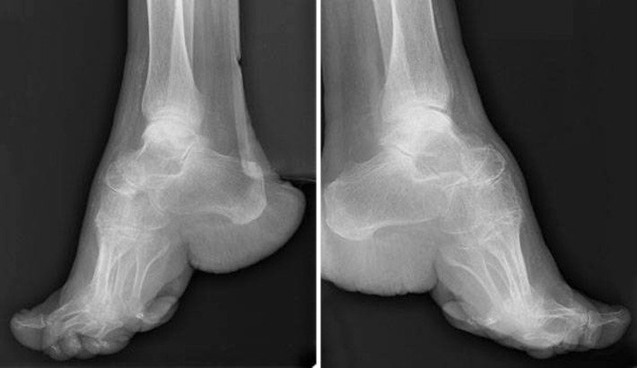 Rory Ⴟ || #1 Desert Song fan tweet media